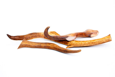 EZ Deer Antler