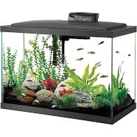 AQ AQUARIUMKITLED 29G