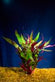 FISH PLANT RED TEMPLE