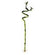 FISH PLANT BAMBOO SPRIAL